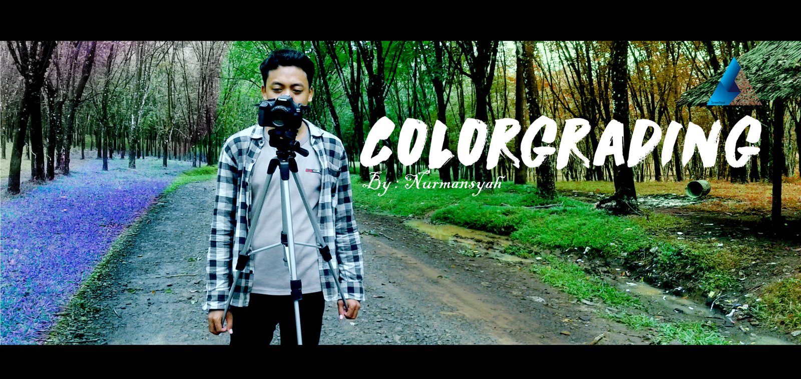 Colorgrading